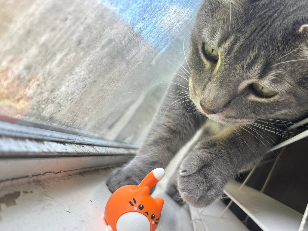 Kitty Clickers